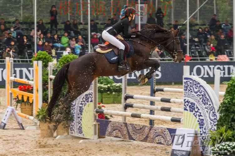 世界杯竞猜网站全面分析报告：用户反馈+直播与实际体验总结 - 世界杯全球总决赛